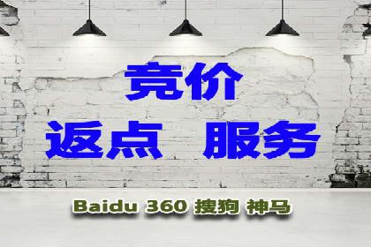 案例解读：网络推广与竞价策略